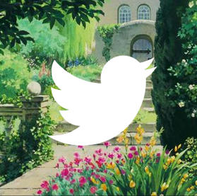 Twitter Moments